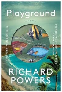 Playground (A Novel)