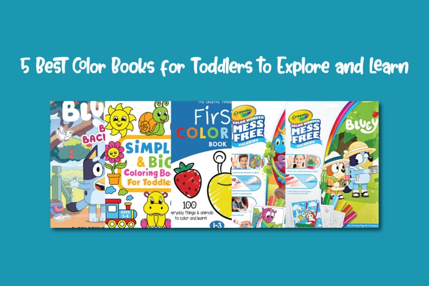 5 Best Color Books for Toddlers to Explore and Learn