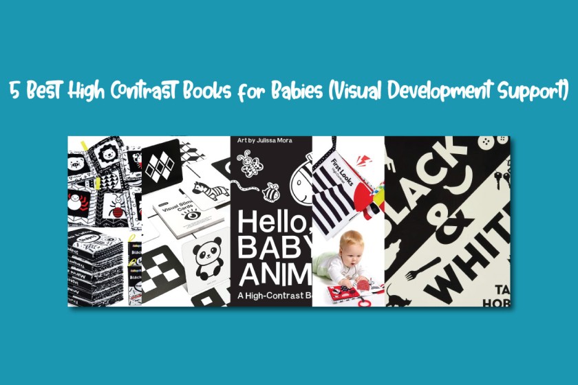 5 Best High Contrast Books for Babies (Visual Development Support)