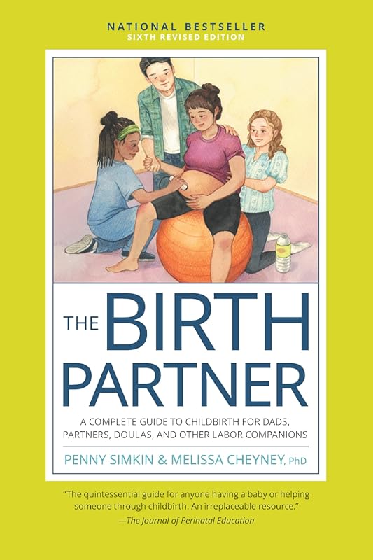 Birth Partner Sixth Revised Edition: Complete Childbirth Guide for Dad