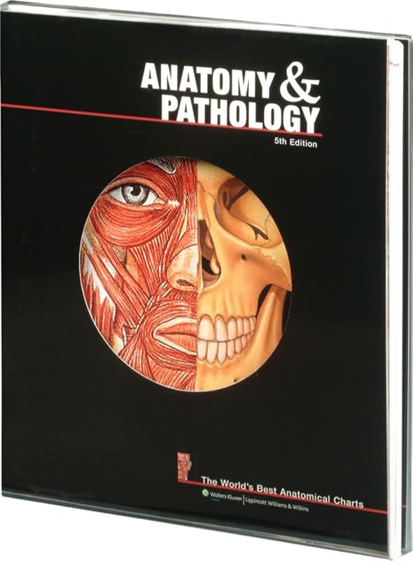 Discover Anatomy & Pathology: World's Best Anatomical Charts for Medic