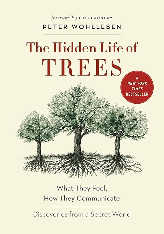 Discover The Hidden Life of Trees by Peter Wohlleben: Feelings, Commun