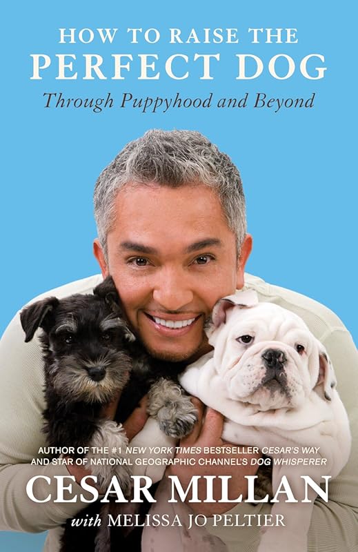 How to Raise the Perfect Dog: From Puppyhood to Senior Years