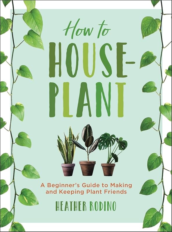 How to Houseplant: Beginner’s Guide to Keeping Happy Indoor Plants