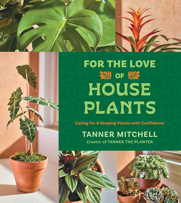 Master Houseplant Care with Confidence: Thriving Indoor & Outdoor Plan