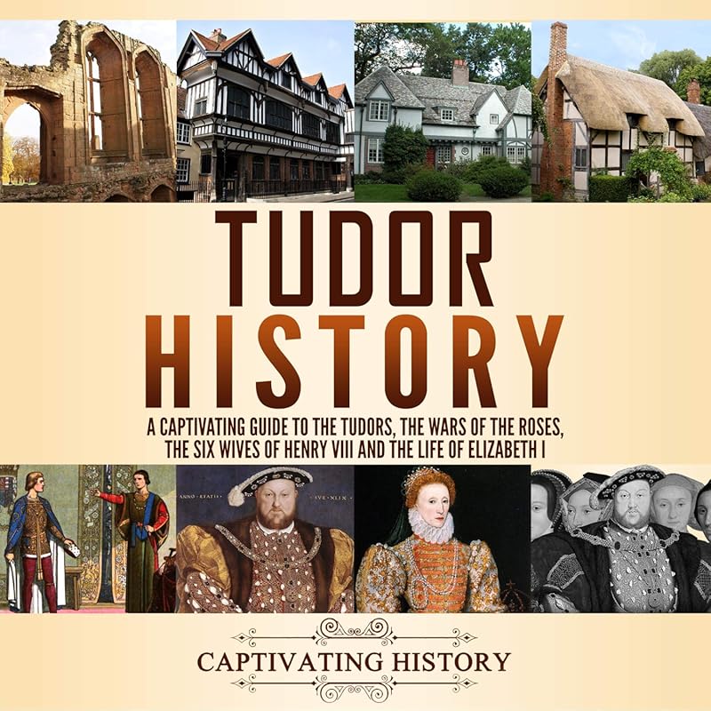 best henry viii books
