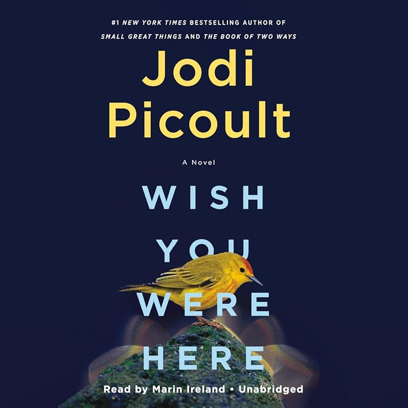 best jodi picoult audio books