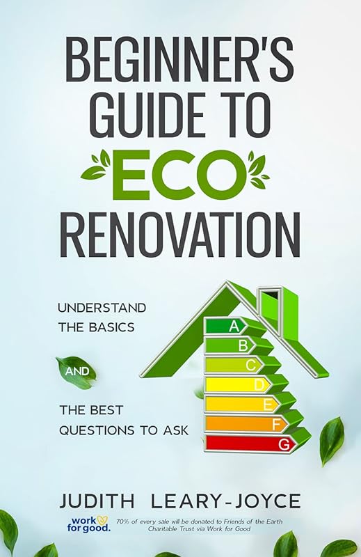 Beginner's Eco Renovation Guide: Basics & Essential Questions to Ask