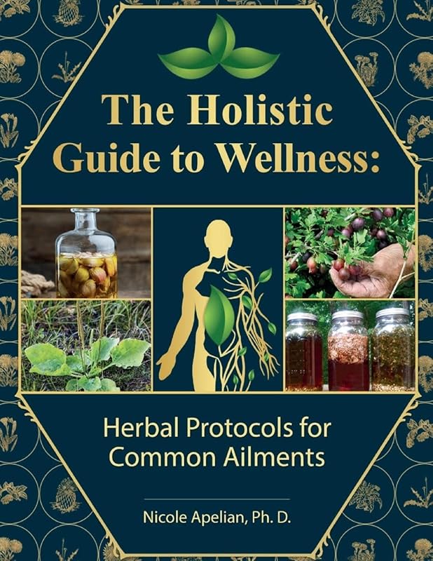 Holistic Guide to Wellness: Herbal Protocols for Common Ailments