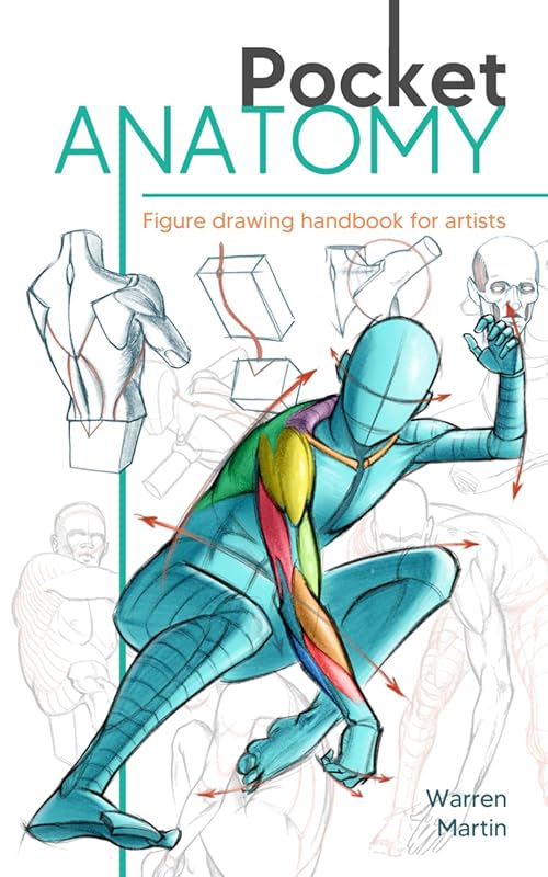 Colorful Figure Drawing Handbook: Simplify Human Body & Learn Anatomy